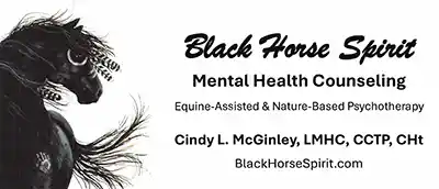 Black Horse Consulting